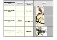 Catalog Page